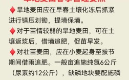 小麦管理技术要点视频