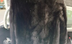 山东貂皮价格现在多少钱一斤？