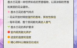 荷兰进口兰花养殖技术有何要点？