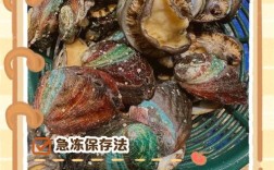 杂色鲍沉箱养殖技术关键点有哪些？