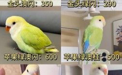 2025年虎皮鹦鹉价格会涨跌？影响因素有哪些？