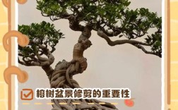 树桩盆景修剪技术流程是怎样的？