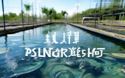 水产养殖每亩投入，水产养殖每亩投入多少钱