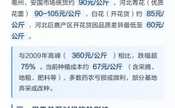 2025年金银花价格会涨还是跌？