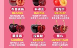 樱桃品种有哪些？