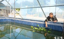 江苏水蛭养殖技术培训怎么学？