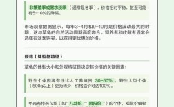 2025草龟价格会涨还是跌？