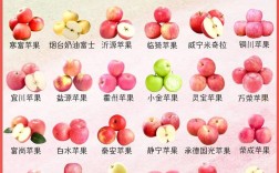高档苹果品种有哪些？