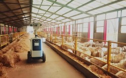 高效益生物链养殖技术如何实现？