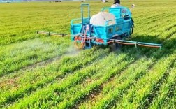 小麦种植高产技术视频有哪些关键要点？