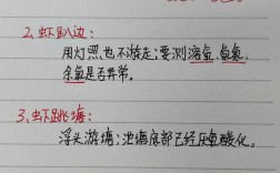 南美白对虾养殖技术要点有哪些关键？