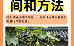 葫芦树怎么种？技术要点有哪些？