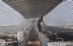 河北唐山南美虾价格为何波动？