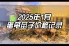 2025山瑞鳖幼苗价格多少钱一只？