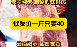 活肥牛价格一斤多少钱？