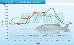 加州鲈鱼今日塘头价格多少？