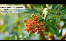 释迦果盆栽保花果技术，释迦果怎样保花保果