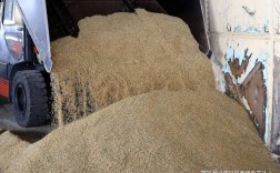 谷糠发酵饲料喂猪技术