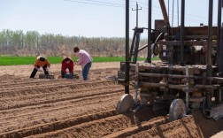 淮山山药种植技术视频怎么学？