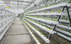 农业科技如何革新种植养殖技术？智能化与绿色化融合能否破解传统农业瓶颈？