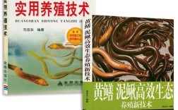 泥鳅黄鳝混养关键技术有哪些？