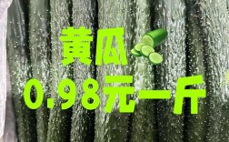 茂名地区今天肉鸡价格