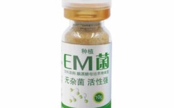 em养殖菌液菌种价格
