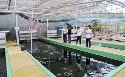 水产养殖选什么品种效益高？