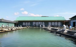 诚一水产养殖基地，诚一水产招聘
