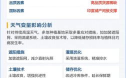 2025年洋葱苗价格会涨还是跌？