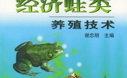 CCTv7青蛙养殖技术有哪些关键要点？