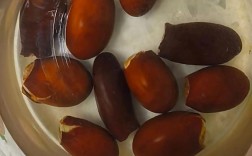 枇杷种子怎么种？视频教你技术要点！