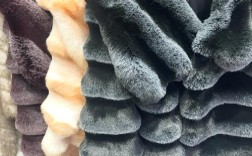 2025年獭兔最新价格多少？