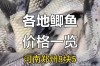 2025鲫鱼价格为何持续上涨？