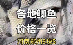 2025鲫鱼价格为何持续上涨？
