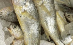 清远市水产技术黄金称号背后，有哪些创新成果或实践案例支撑其行业价值？