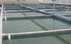 水泥池养黄鳝技术要点有哪些？