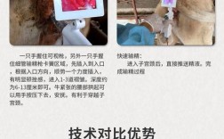 母牛人工受精技术如何操作？关键步骤与成功要点有哪些？