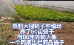 蝎子养殖利润成本高吗？技术门槛如何？