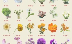 花卉品种图片数量有多少？