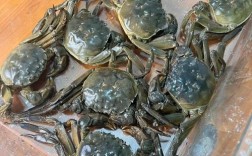 吉林螃蟹养殖技术大全