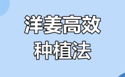 洋姜怎么种？视频教你种出好洋姜！