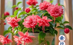 吊兰真的都无毒吗？