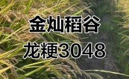 龙粳18水稻品种有何特点？