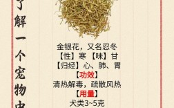 哪种金银花品种功效最好？