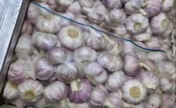 江苏邳州今日大蒜价格多少钱？