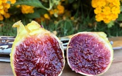 耐涝耐寒的无花果品种有哪些？