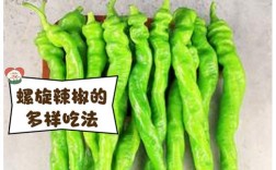 羊辣椒有哪些常见品种？