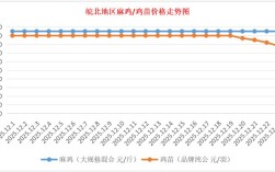 今日817苗价格行情如何？