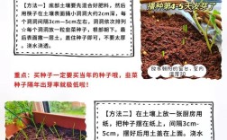 韭菜种植技术视频，新手怎么学？
